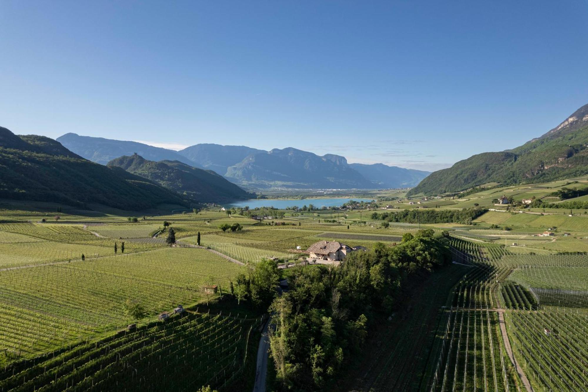 Ansitz Battisti Suites (Adults Only) Caldaro Exterior photo