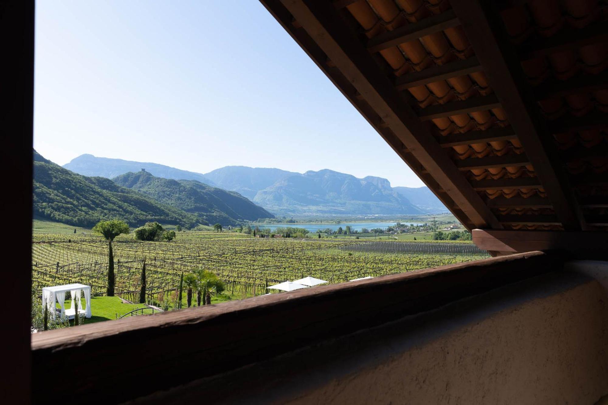 Ansitz Battisti Suites (Adults Only) Caldaro Room photo